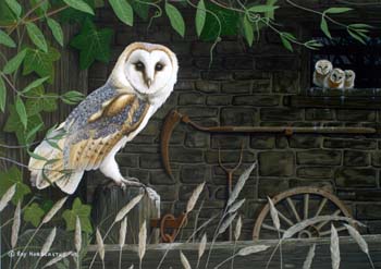 The Owl Days